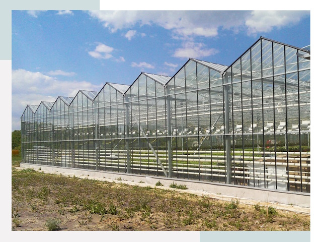 Строительство теплиц в Волгодонск от 657 руб. за м²