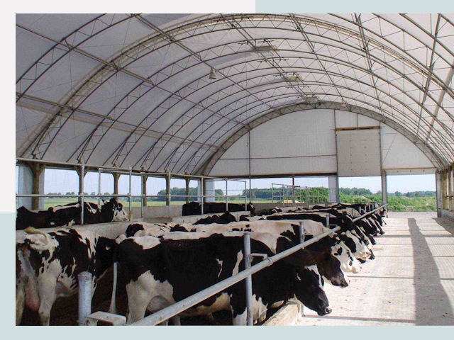 Тентовые коровники в Волгодонске